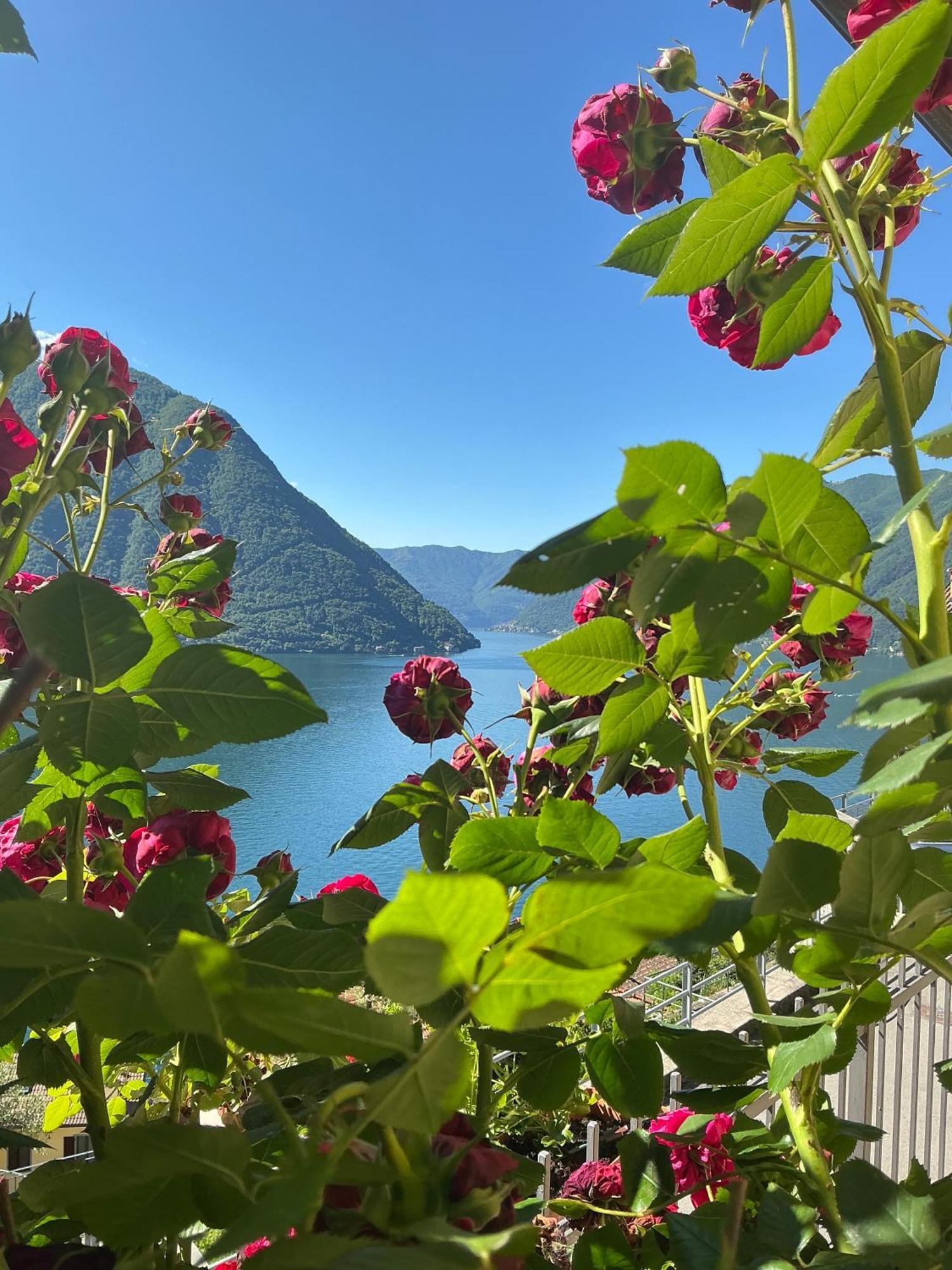Colonno Panoramica Lago Di Como Εξωτερικό φωτογραφία